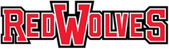 Arkansas State Red Wolves 2008-Pres Wordmark Logo diy fabric transfer